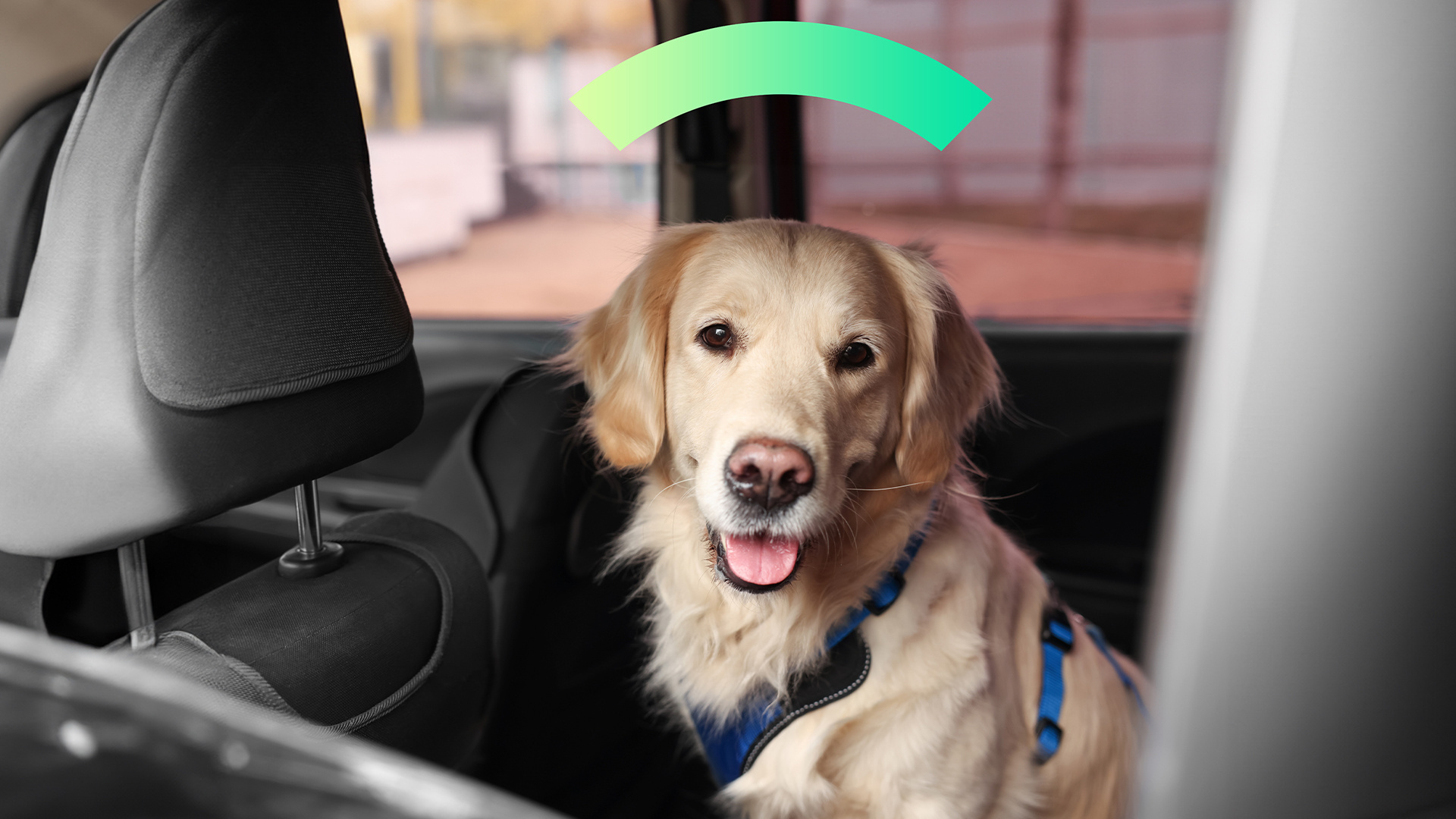 5 Simple Tips to Safeguard Your Pets When You're Away